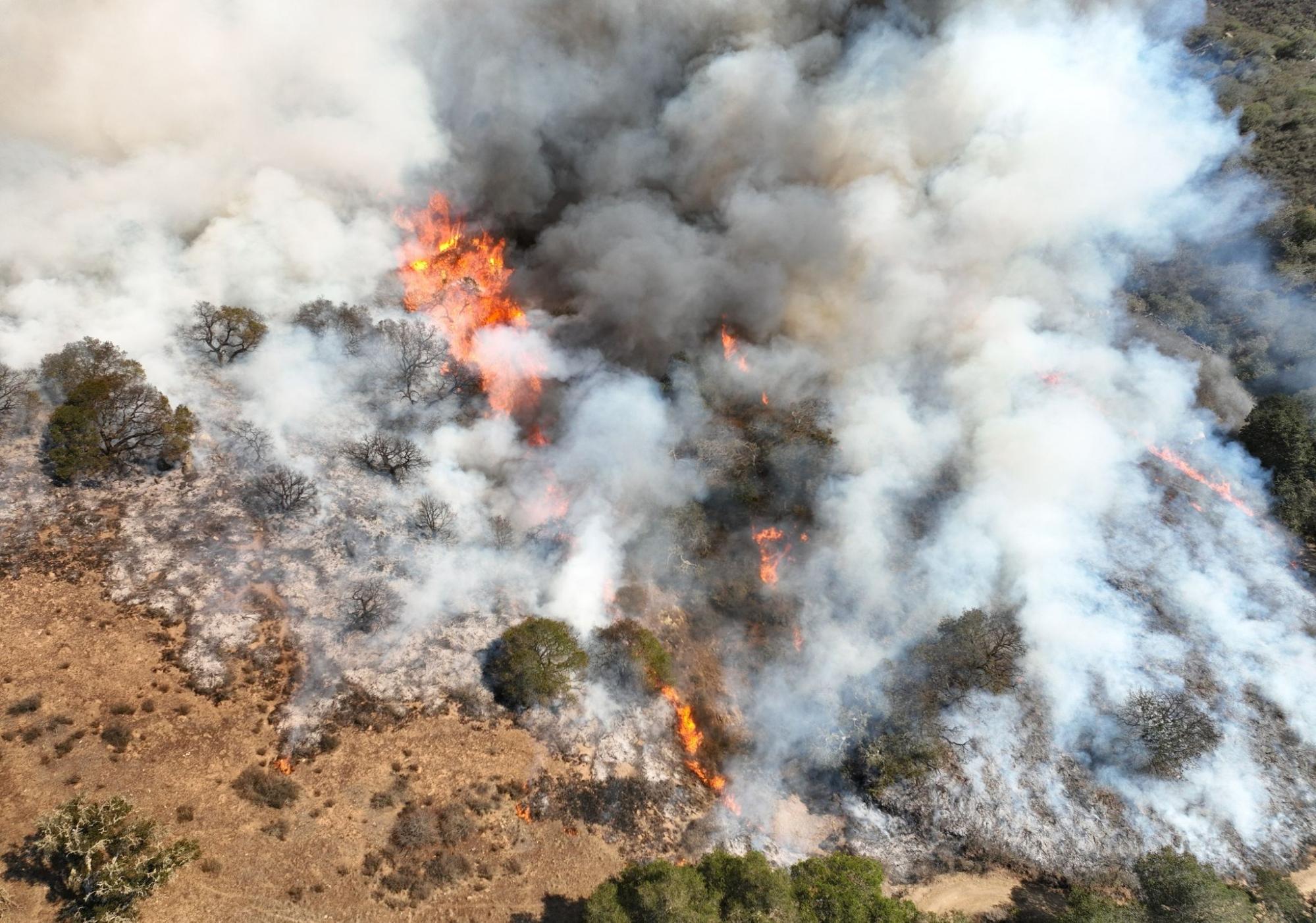 Drone view of smoke and flames during a prescribed burn