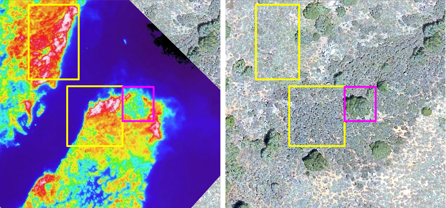 Thermal image of a burn next to matching RGB imagery, with sample areas outlined