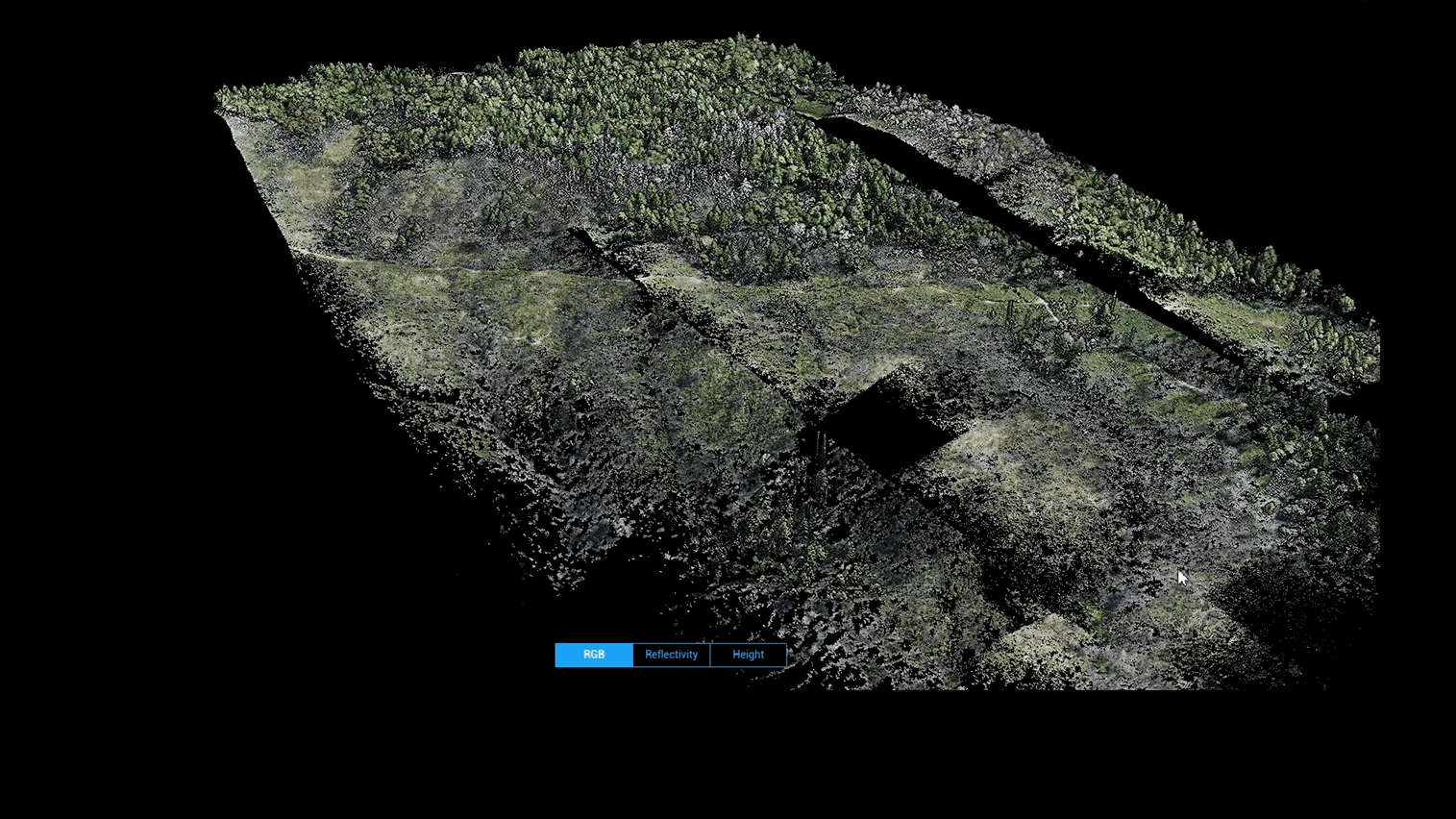 Three-dimensional drone LiDAR point cloud of a forest