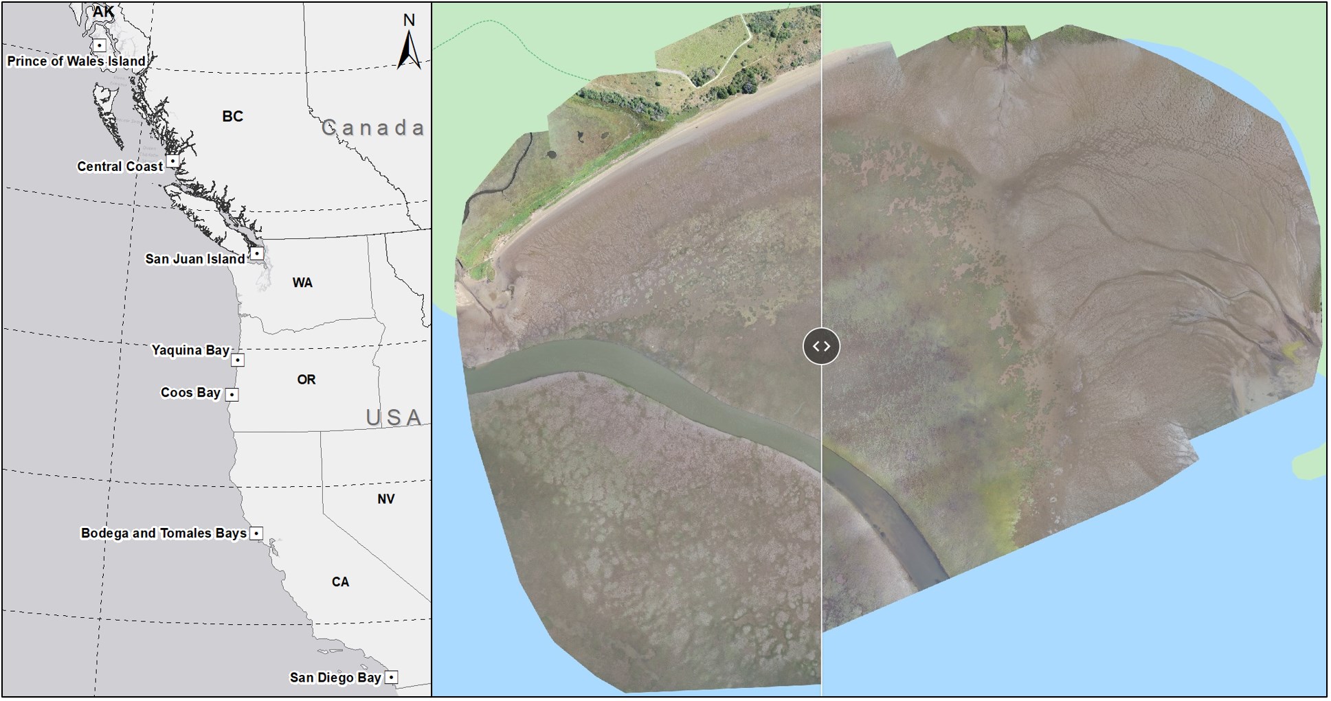 Map of survey regions along the Pacific coast beside a drone orthomosaic of one site